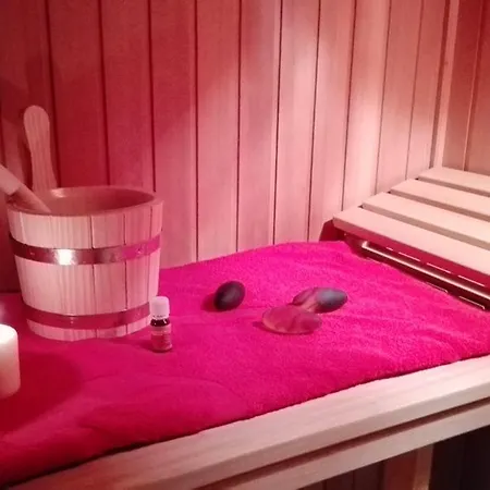 Harzluchs Mit Balkon & Sauna Im Haus *