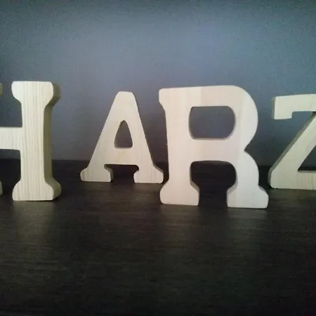 Harzluchs Mit Balkon & Sauna Im Haus Διαμέρισμα *