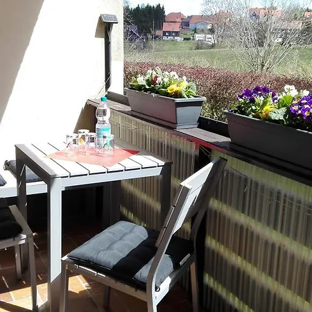 Апартаменты Harzluchs Mit Balkon & Sauna Im Haus