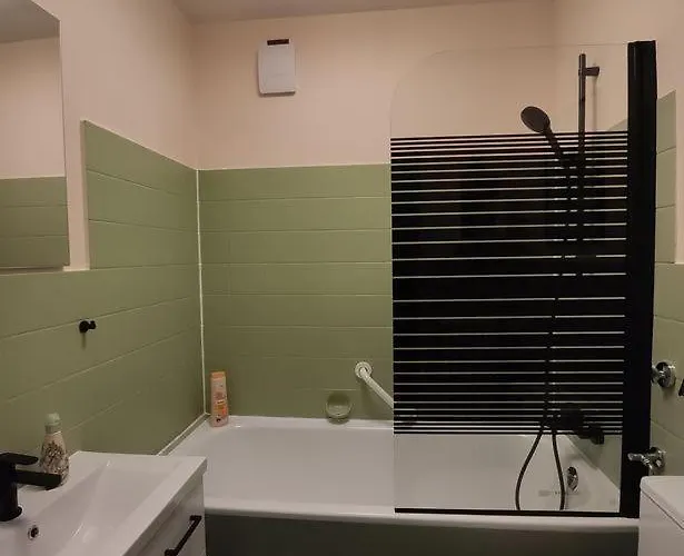 Harzluchs Mit Balkon & Sauna Im Haus Appartement *