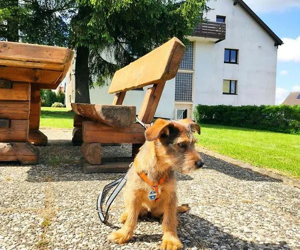 Appartement Harzluchs Mit Balkon & Sauna Im Haus Hohegeiß