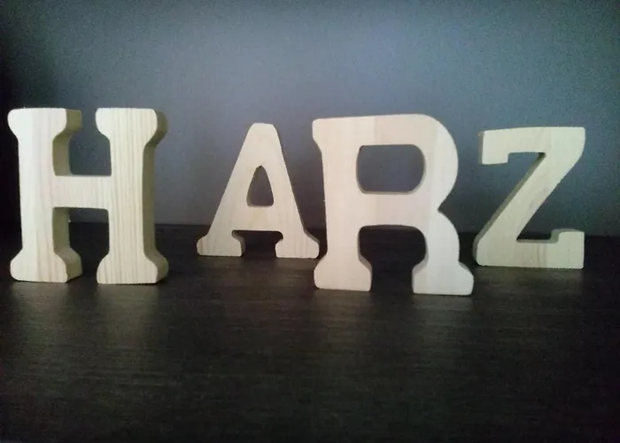 Harzluchs Mit Balkon & Sauna Im Haus Appartement *