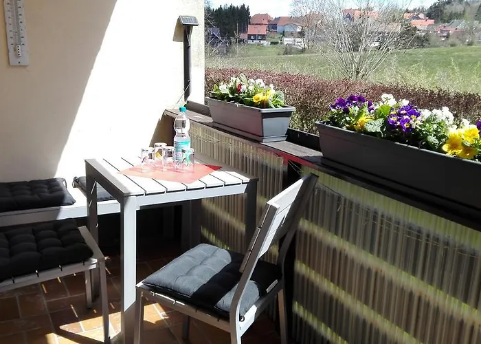 Appartement Harzluchs Mit Balkon & Sauna Im Haus